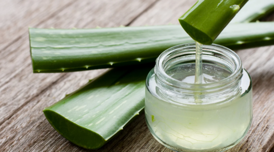 lubrifiant gel d'aloe vera